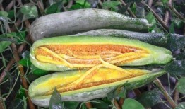 渭南网红吃瓜,揭秘网络红人的幕后故事